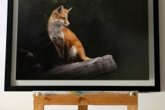 Sultry Red Fox Kit