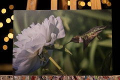 HUMMER-PEONY-8X12