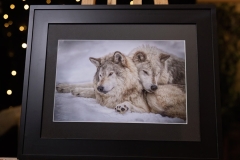 WOLF-LOVERS