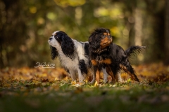 633A2461-EACH-LOOKING-AWAY