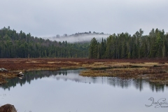 Opeongo Road Foggy Morning