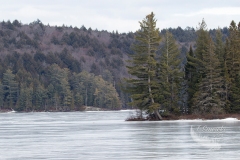 Winter Algonuin Park