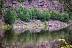 Algonqin Park Roadside