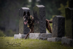 Practicing In The Stones