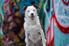 633A6167-PIPER-SMILE