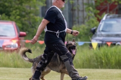 0445-WM