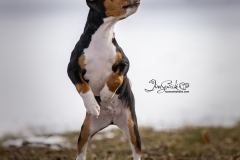 1_633A0520-standingtongueout