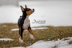 633A0060-obistandinglookingup