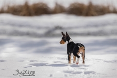 633A0377-lookingatdistance