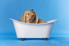 633A1117-MATTEO-TUB3