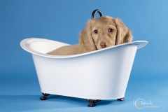 633A1127-MATTEO-TUB