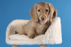 633A1138-MATTEO-CHAIR2