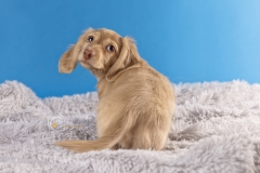 633A1146-MATTEO-OVER-SHOULDER