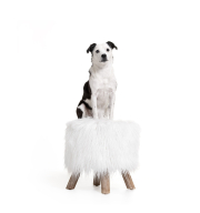 Inca-859-PIPER-copy