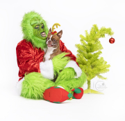 Val-591-grinch-8x10