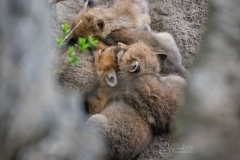 KIT PILE