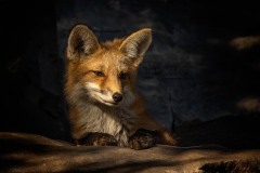Just Chillin'
