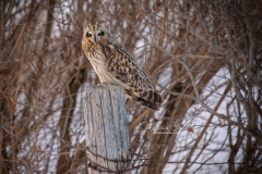 SEO-FENCE-POST-FRONT