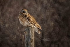 COOL-TEXTURE-SEO