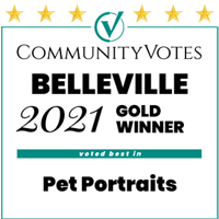 winners-badge-bellevillevotes-sm