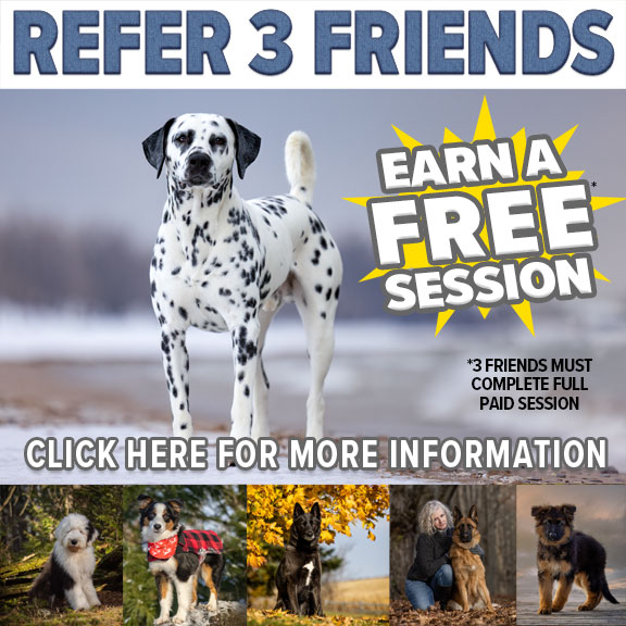Refer 3 Friends & Earn a FREE session when they each do a fully paid session.